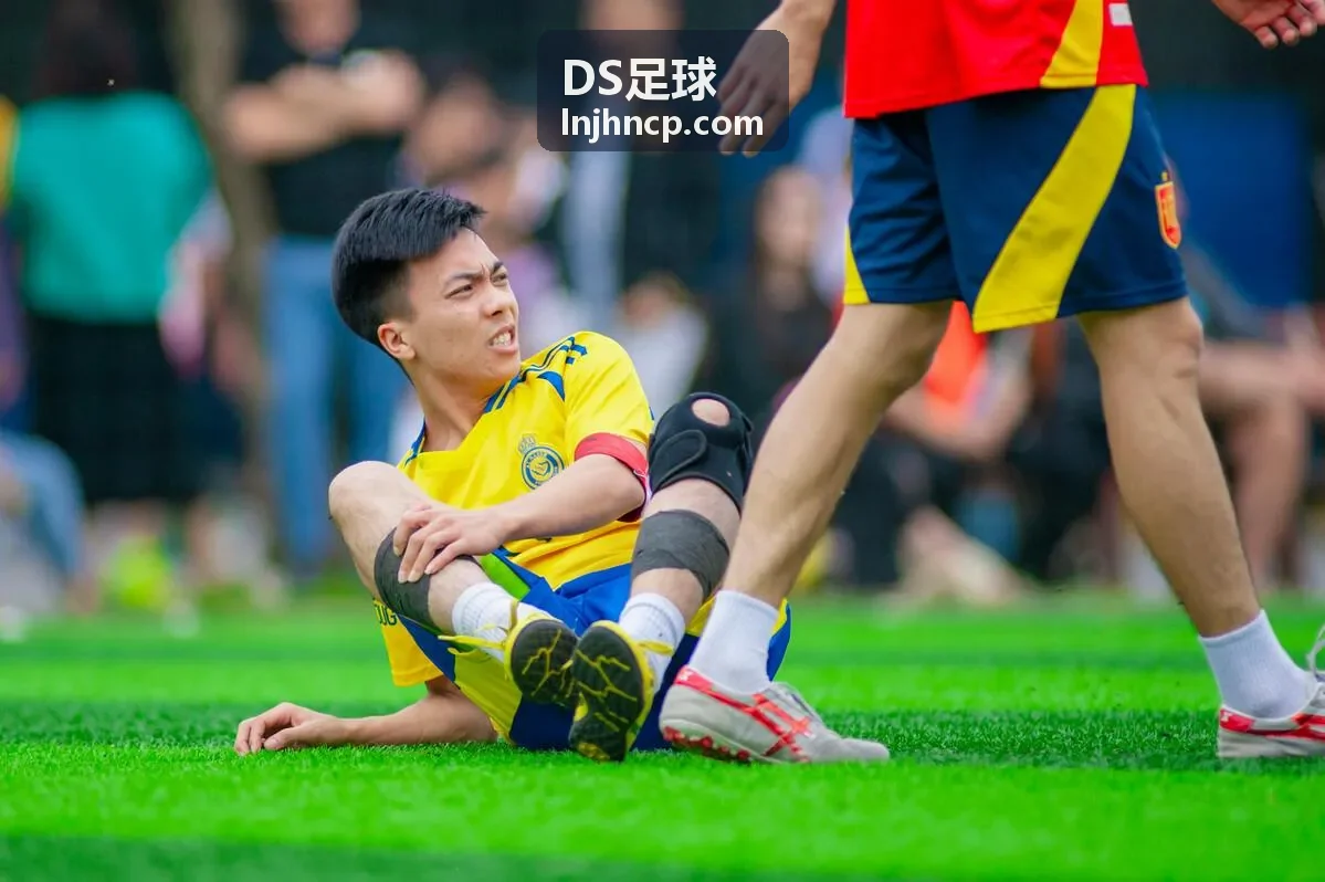 DS足球职业联赛案例